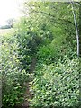 Footpath near Fryern Court in SP6 3PL