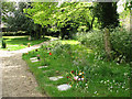 All Saints Church - path through churchyard in NR14 7LG