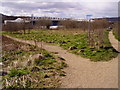 Footpaths across open land near Ewood Park in BB3 0PZ