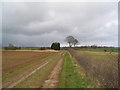 Footpath, west of Ridlington, Rutland in LE15 9AS