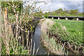 Backwater of the River Kenson at Burton Bridges, near St Athan in East Aberthaw
