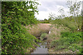 Stream beside the River Kenson - Burton Bridge in East Aberthaw