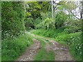 Footpath, Woodcutts Farm in BH21 4JQ
