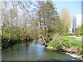 River Frome, Oldford in BA11 2NG