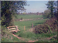 Footpath junction west of Luston in HR6 0DY
