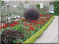 Tulip border, in the walled garden, Forde Abbey in TA20 4LU