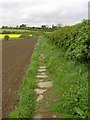The footpath into Billingley from Millhouses in S72 0EZ