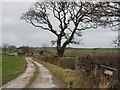 Swindale House Farm locking North from the road in TS12 3HU