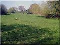 Farmland near The Riddle in HR6 0BX