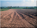 Freshly planted potato crop near Lydiates in HR6 0BZ