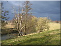 The River Arrow from Mill Lane in B49 6LH
