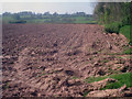 Farmland near Quarry Coppice in HR6 0BZ