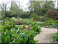 The Bog Garden, Forde Abbey in TA20 4LP
