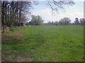 Pasture near Scatterbrain Farm in HR6 0EE