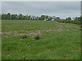 Field near Merrymouth farm in KA3 4DN