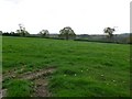Countryside near Tytherington in BA11 5BN