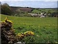 Meadow above Westcott in TQ13 8SU
