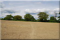 Footpath across a ploughed field, west of Worthing Rd in RH13 9GP