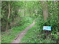 Footpath in Mereworth Wood in ME18 5NG