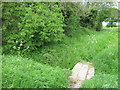 Footbridge near Moat in TN11 0ER