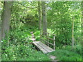 Footbridge in Sticklands Wood in TN11 9SR