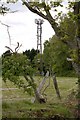 Mobile Phone Mast, Earnley in PO20 7JR