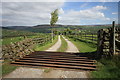 Cattle Grid in Track to Old Lees Farm in Brough and Shatton