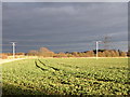 Farmland at East Hagbourne in OX11 9BN
