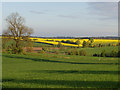View across valley of the River Lark in IP29 5NJ