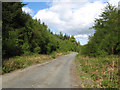 Footpath along forestry road in LL27 0JF