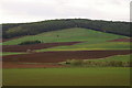 Fields west of Fothringham Hill in DD8 1XJ