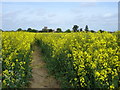 Footpath to Belstead church in Belstead