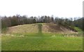 Mound in Birchwood Forest Park in WA3 6TU