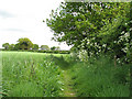 Footpath to Wolterton Road in Itteringham