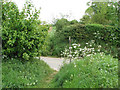 Footpath crossing Wolterton Road in Itteringham