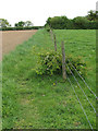 Footpath skirting stock fence in Itteringham