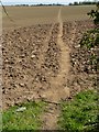 Path across field to Rempstone in Rempstone
