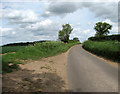 A rural lane - Wolterton Road in Itteringham