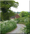 Approach to Itteringham in Itteringham