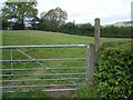Footpath to Stoke St. Milborough in SY8 2EG