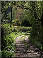 Old road to Newmill Bridge in TQ7 4BY