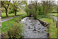 The Afon Mwyro in Ystrad Fflur Community