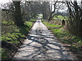Minor road north of Sandoe Hall in Sandhoe