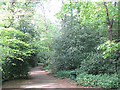 Path on Eltham Common in SE18 3DB