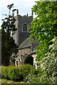 Thrandeston church between the trees in Thrandeston