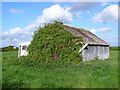 Tumbledown Shack, Pulham in DT2 7DZ
