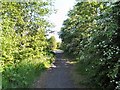 Footpath to Ashton Moss in M34 5RU