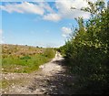 Footpath on Ashton Moss in OL7 9ET