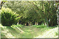 Sulgrave: church path in Sulgrave