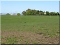 Looking across to Westfield Farm in EH52 6QJ